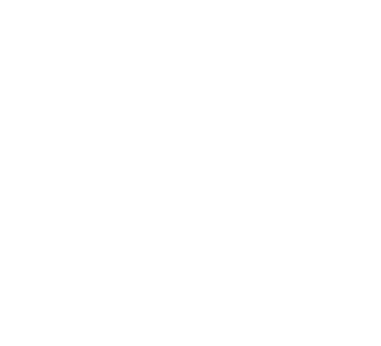 Drone & Ladder Home Inspections